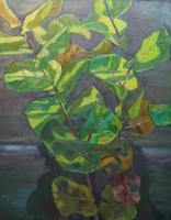 Sea Grape Stretch - Oil On Canvas Paintings - By Claudia Thomas, Closed Landscape Painting Artist