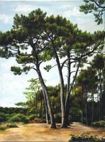 Sentier Du Littoral - Oil On Canvas Paintings - By Anne Burdin, Landscape Painting Artist