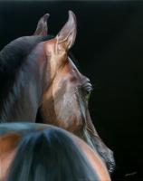 Arabian Beauty - Acrylic Paintings - By Sally Lancaster, Realism Painting Artist