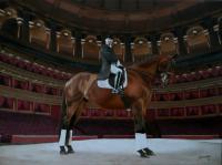 Lee Pearson Cbe  Gentleman  Royal Albert Hall - Commission - Acrylic Paintings - By Sally Lancaster, Realism Painting Artist