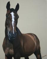 Majestic - Acrylic Paintings - By Sally Lancaster, Realism Painting Artist