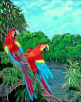 Birds - Jewels Of The Amazon - Acrylic
