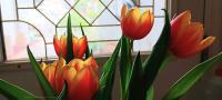 Tulips 1 - Digital Photography - By Mary Powers, Nature Photography Artist