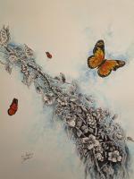 Toms Ink - Monarch Butterfly - Ink And Water Colors
