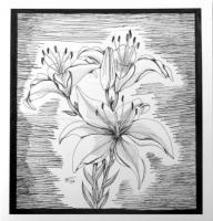 Bw Lilies - Pen And Ink Drawings - By Stephen Fontana, Representational Drawing Artist