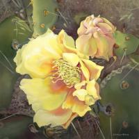 Plants I Love - Cactus Flower - Acrylic And Mixed Media