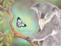 Wildlife - A Kiss For Koala - Coloured Pencils On Drafting F