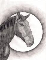Dark Horse - Pencil And Paper Drawings - By Ronald Tomlin, Pencil Drawing Artist