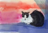 Tom - Gone But Not Forgotten - Watercolor Paintings - By Madelaine Boothby, Realism Painting Artist